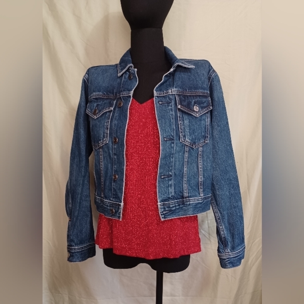 Everlane The Shrunken Denim Jacket - Picture 2 of 11